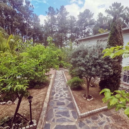 Вилла Bonita Casa En El Bosque - Эль-Тьембло Экстерьер фото